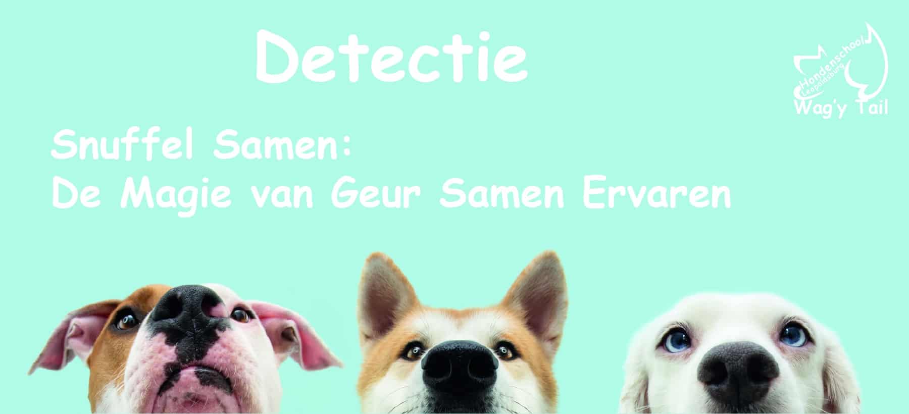 Detectie 1